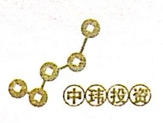山西中玮投资管理有限公司