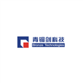 上海青铜剑电子科技有限公司