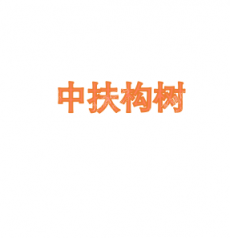 中扶村树人（北京）信息技术有限公司