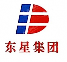 东星建设工程集团有限公司