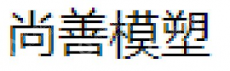 南通尚善模塑科技有限公司