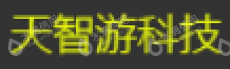 成都完美天智游科技有限公司