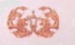 云南博龙药业有限公司
