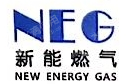 广西华油新能能源股份有限公司