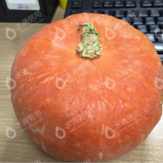 新恒基(辽宁)物业管理有限公司