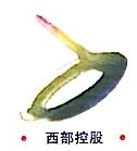 西能（北京）投资有限公司