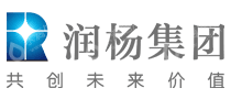 广州润杨信息科技有限公司