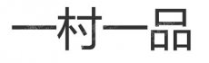 海南一村一品电子商务有限公司