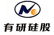 有研半导体硅材料股份公司
