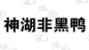 水滴信用
