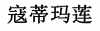 水滴信用