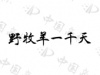 水滴信用