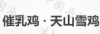 水滴信用