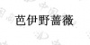 水滴信用