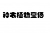 水滴信用