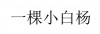 水滴信用