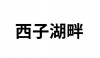 水滴信用