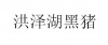 水滴信用