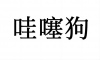 水滴信用