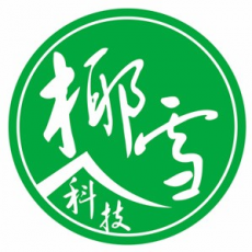 北京椰雪科技有限公司
